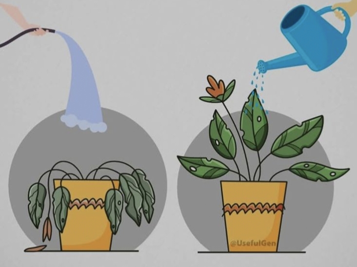 The Ultimate Guide to Mastering Consistency and Effort: 101 Teacher-Approved Strategies for Student Success