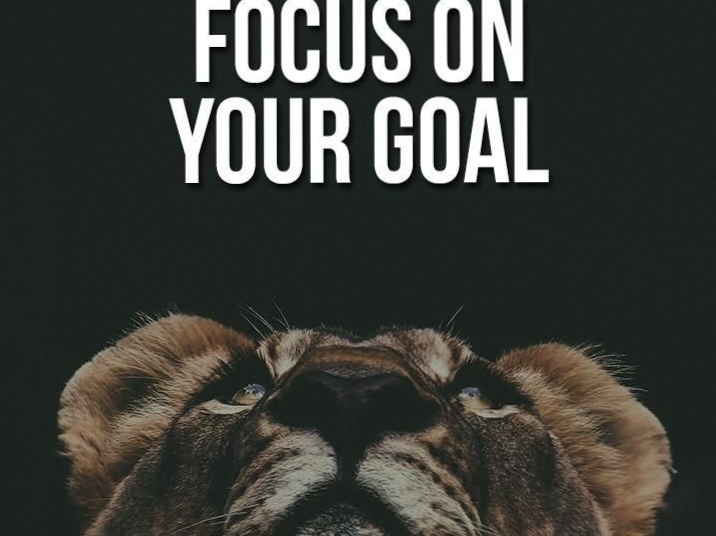 Focus on Your Goals