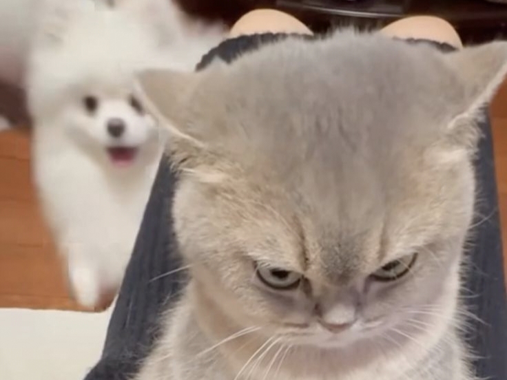 Top 25 Reasons Why Youth Get Angry: Uncover Triggers and Master Your Emotions